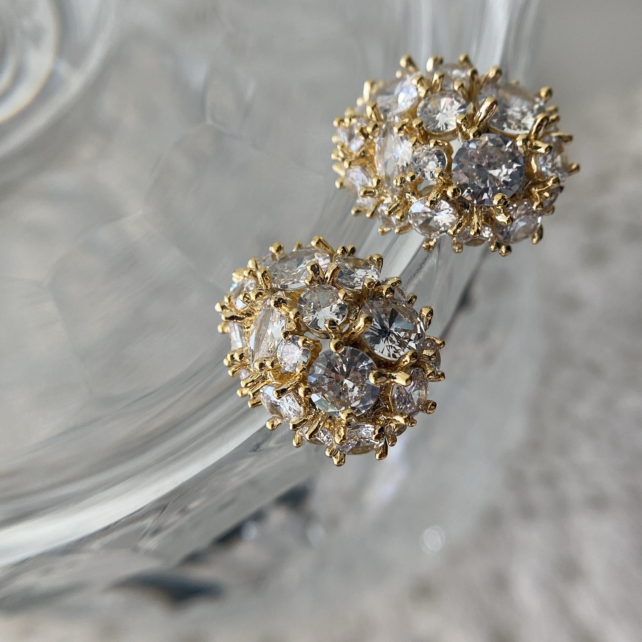 Flashy Oval Earrings