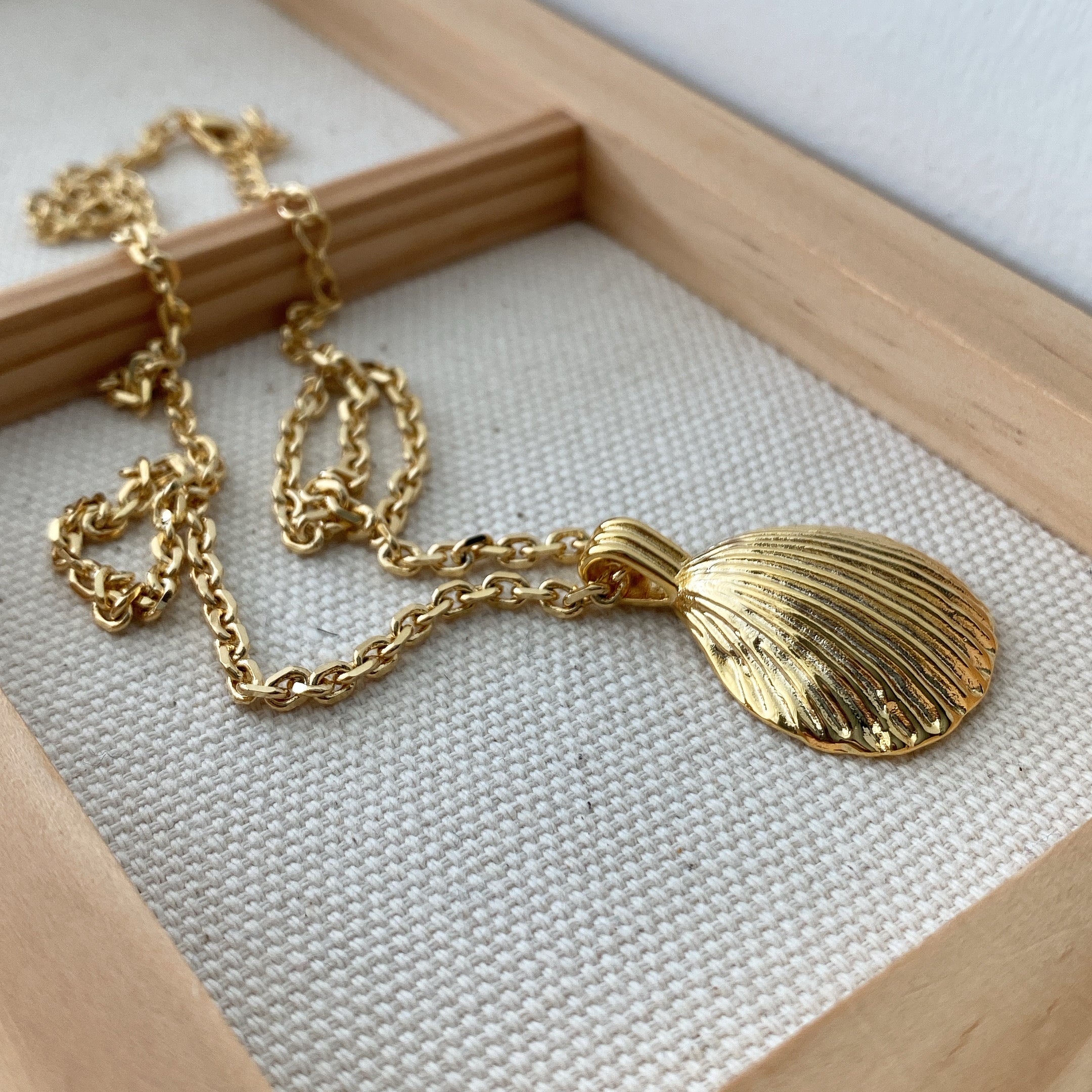 Seashell Pendant Necklace