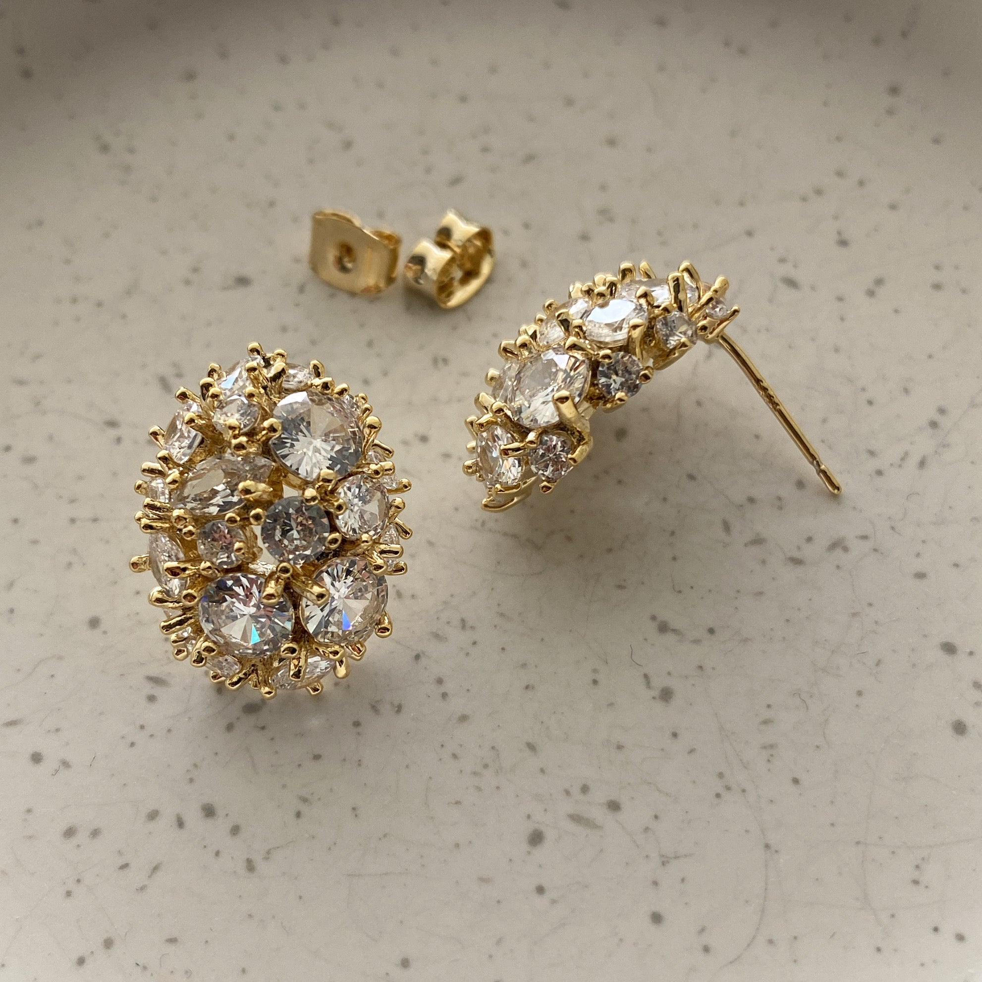 Flashy Oval Earrings