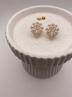 Flashy Teardrop Earrings