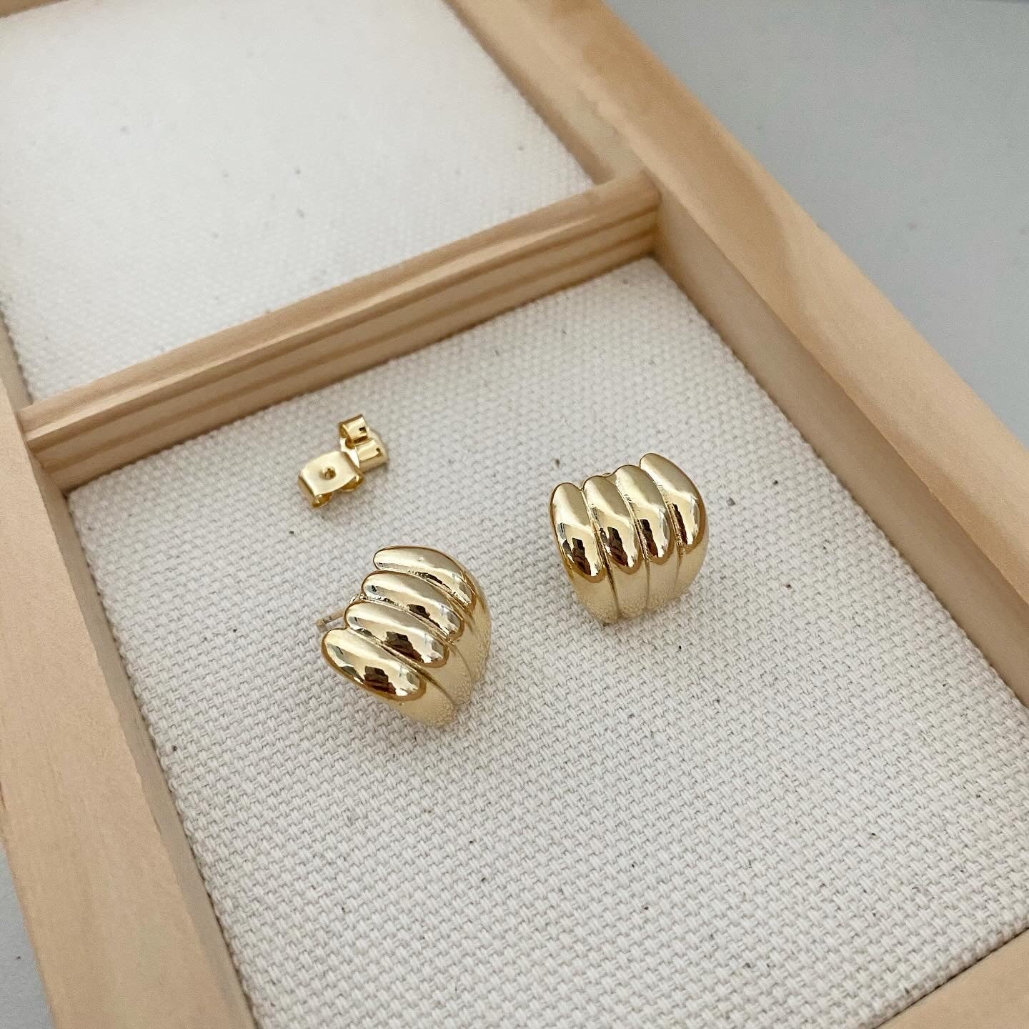 Fluted Shrimp Hera Earrings