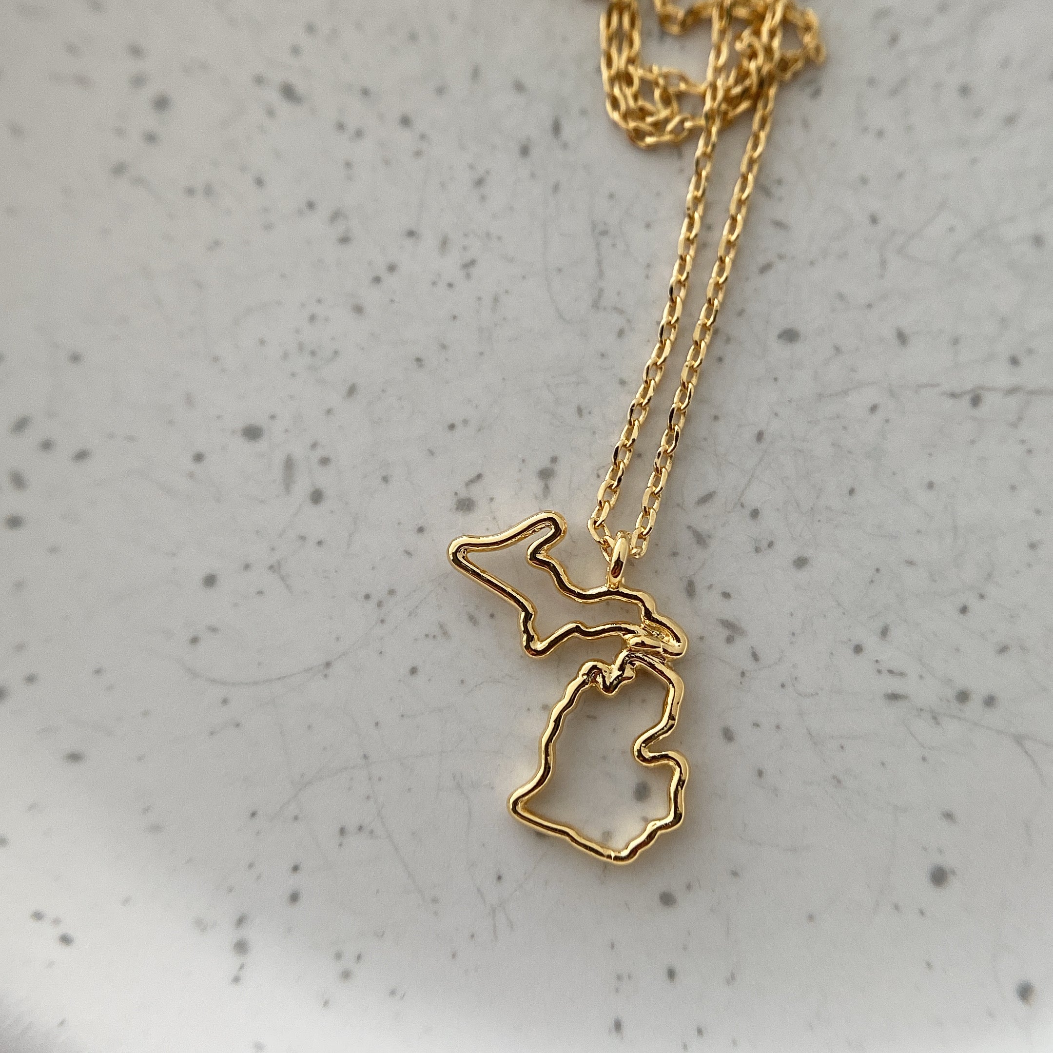 Michigan State Cutout Necklace