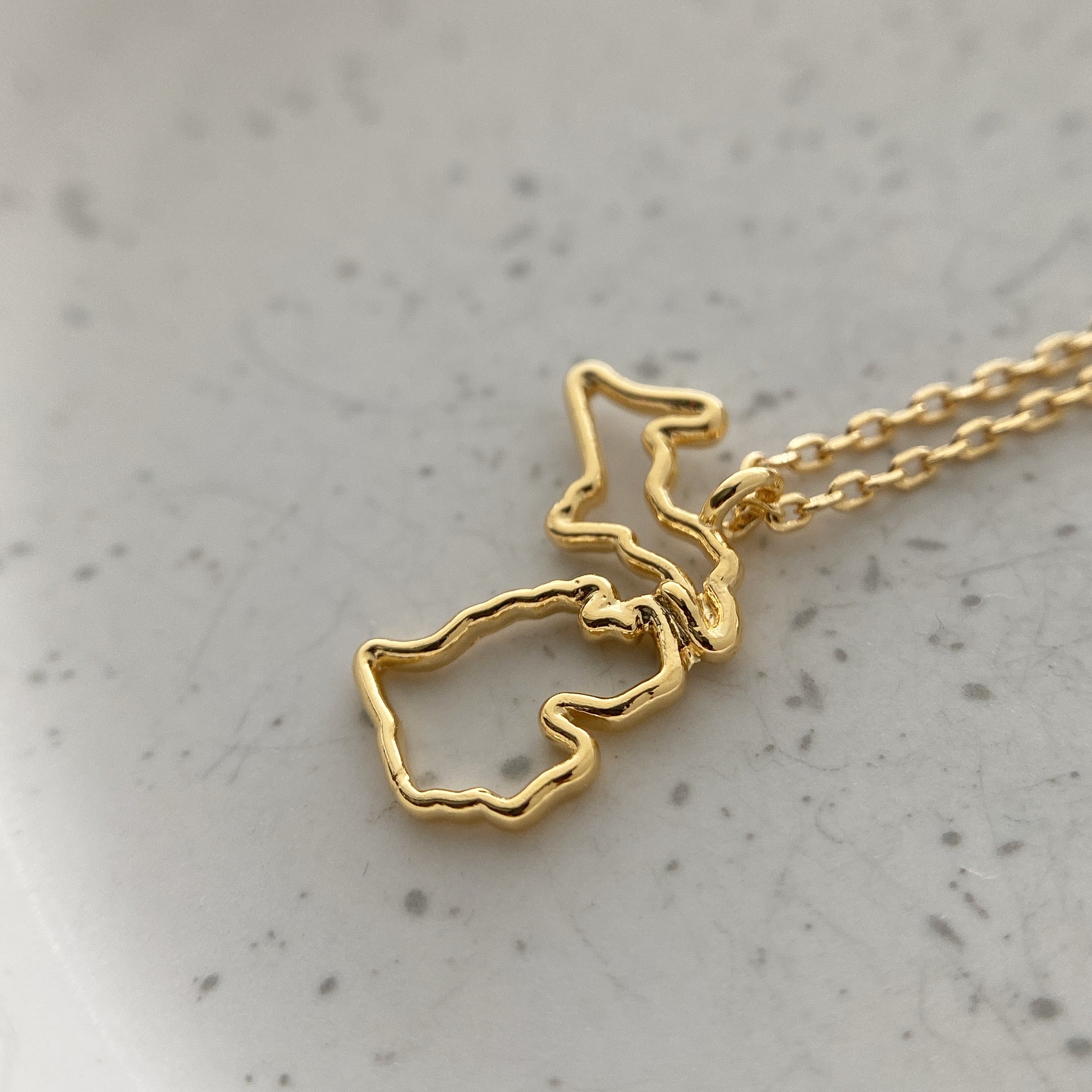 Michigan State Cutout Necklace