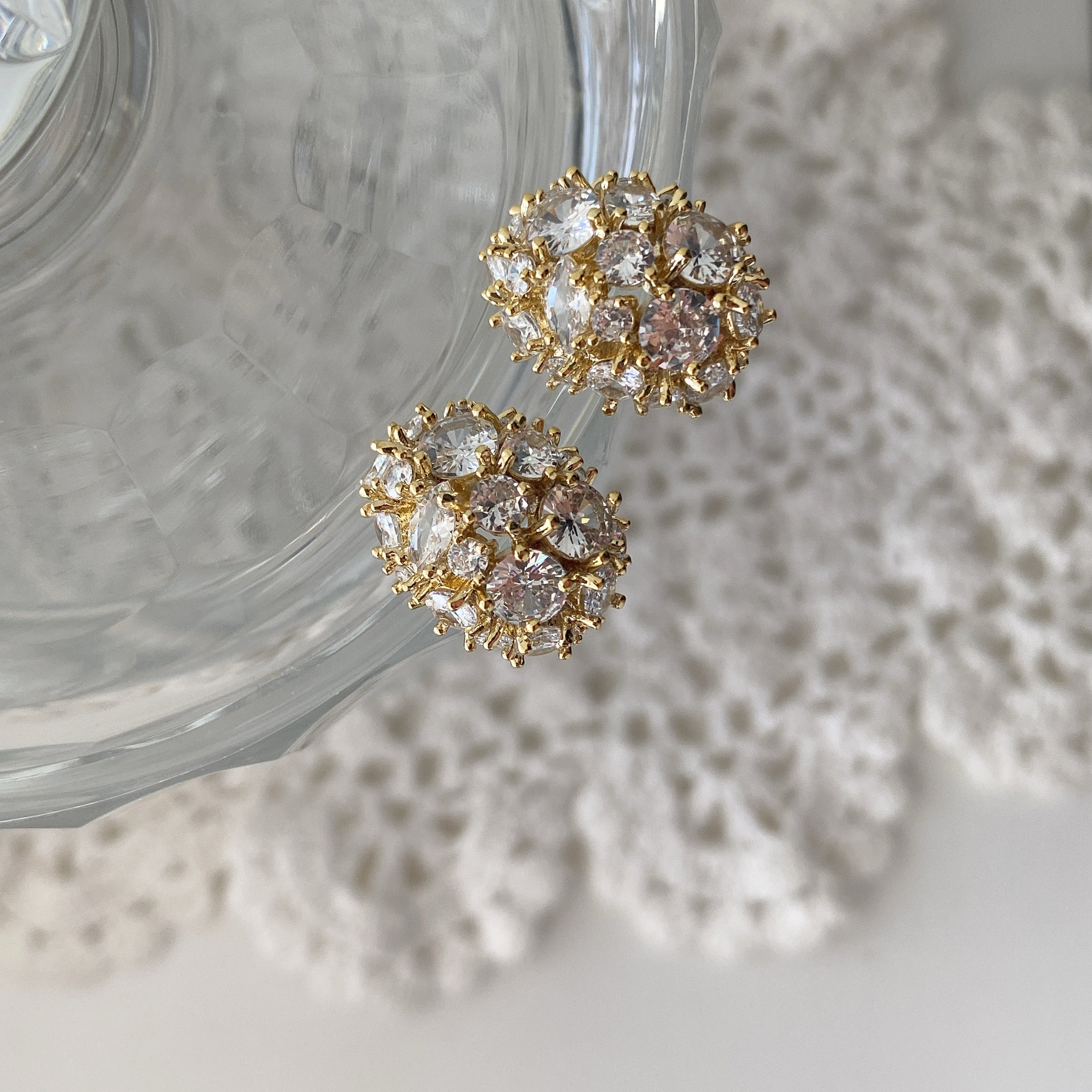 Flashy Oval Earrings