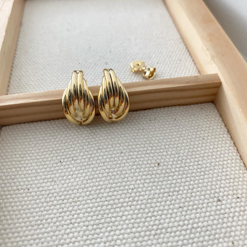 Fluted Shell Earrings