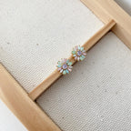 Pastel Delight Earrings