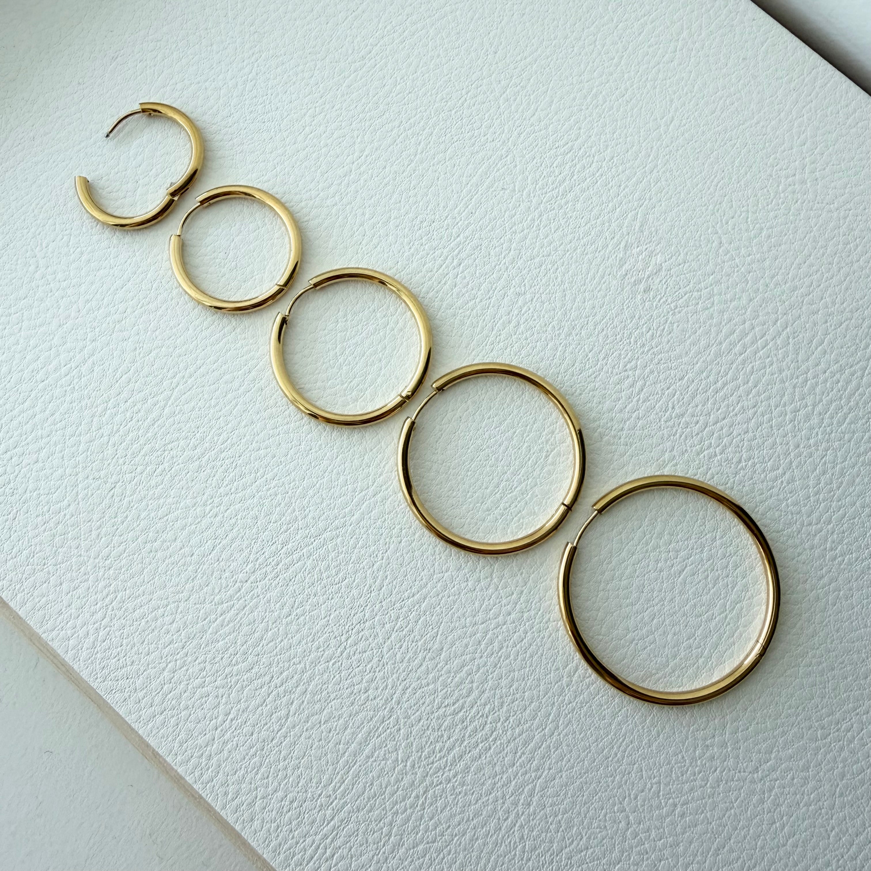 Everyday Hoop Earrings in Stainless Steel