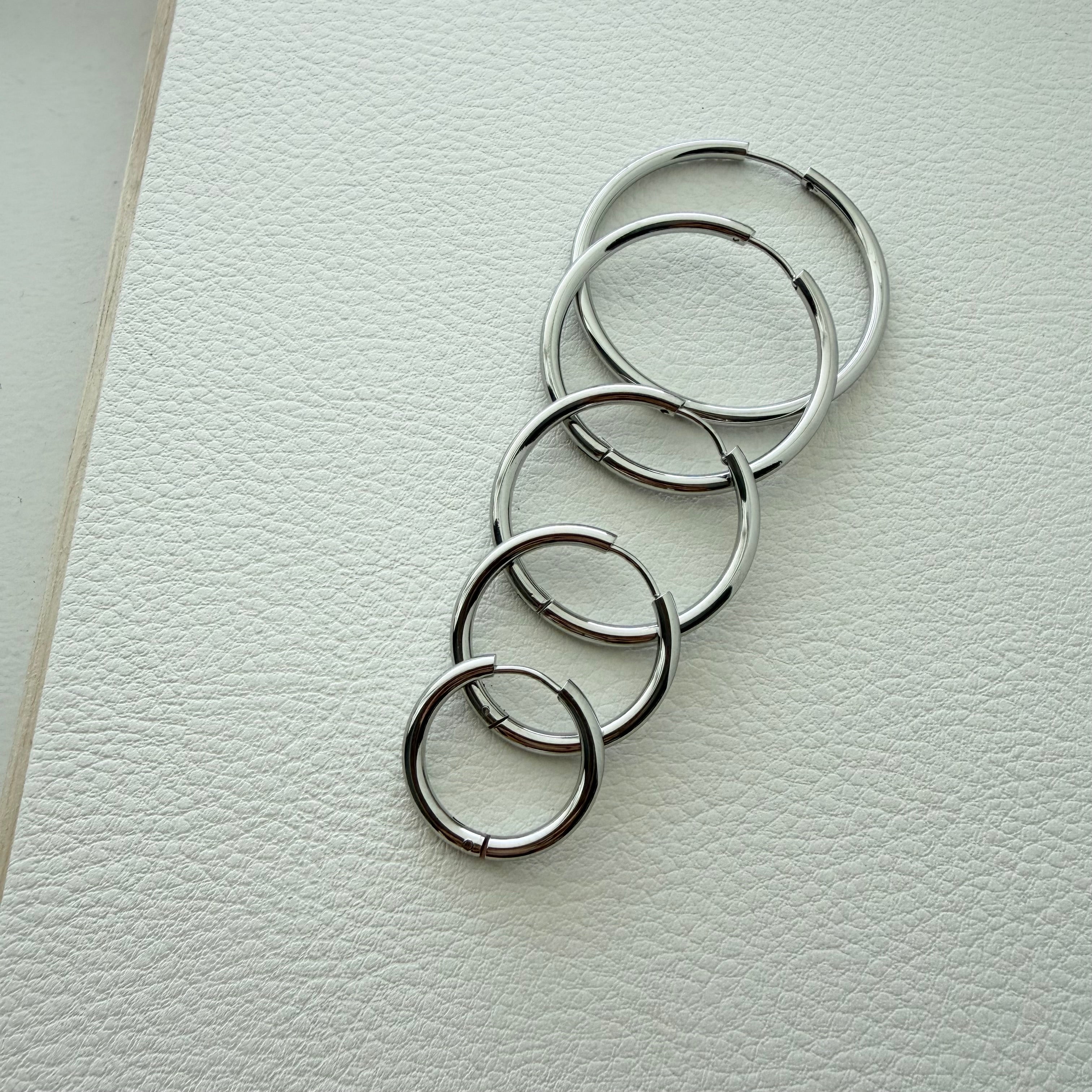 Everyday Hoop Earrings in Stainless Steel