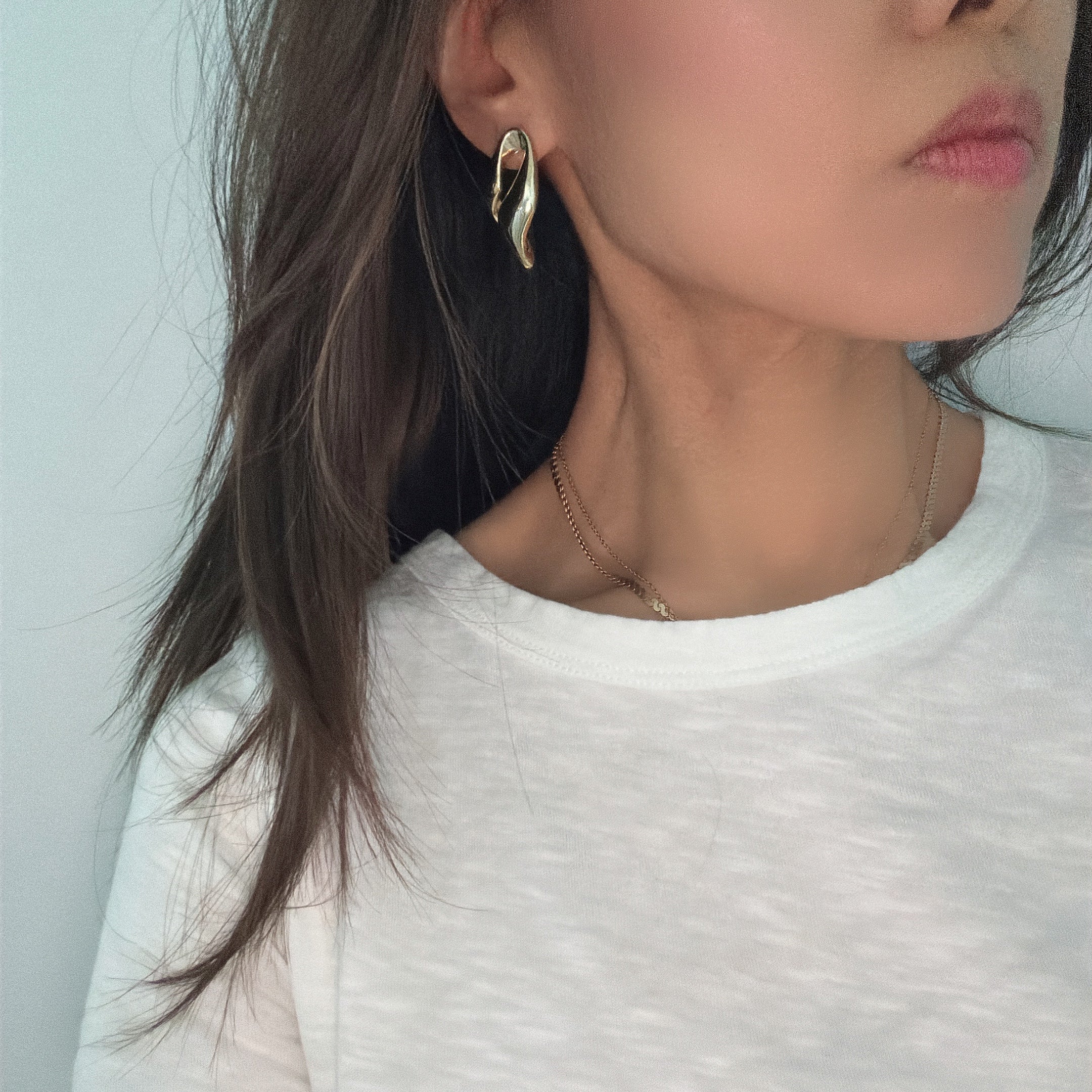 Kite Sculpture Earrings