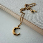 Moon Arc Necklace