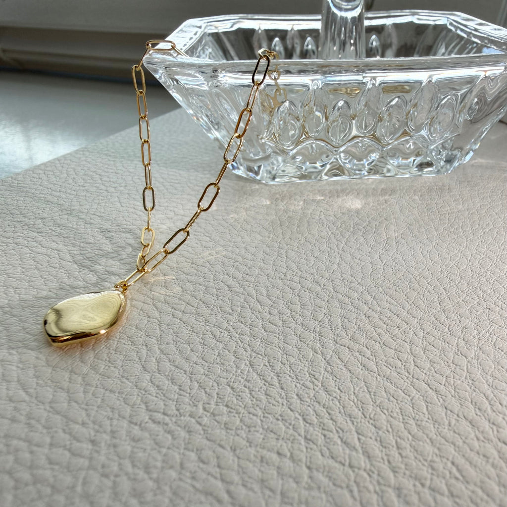 Medallion Paperclip Necklace
