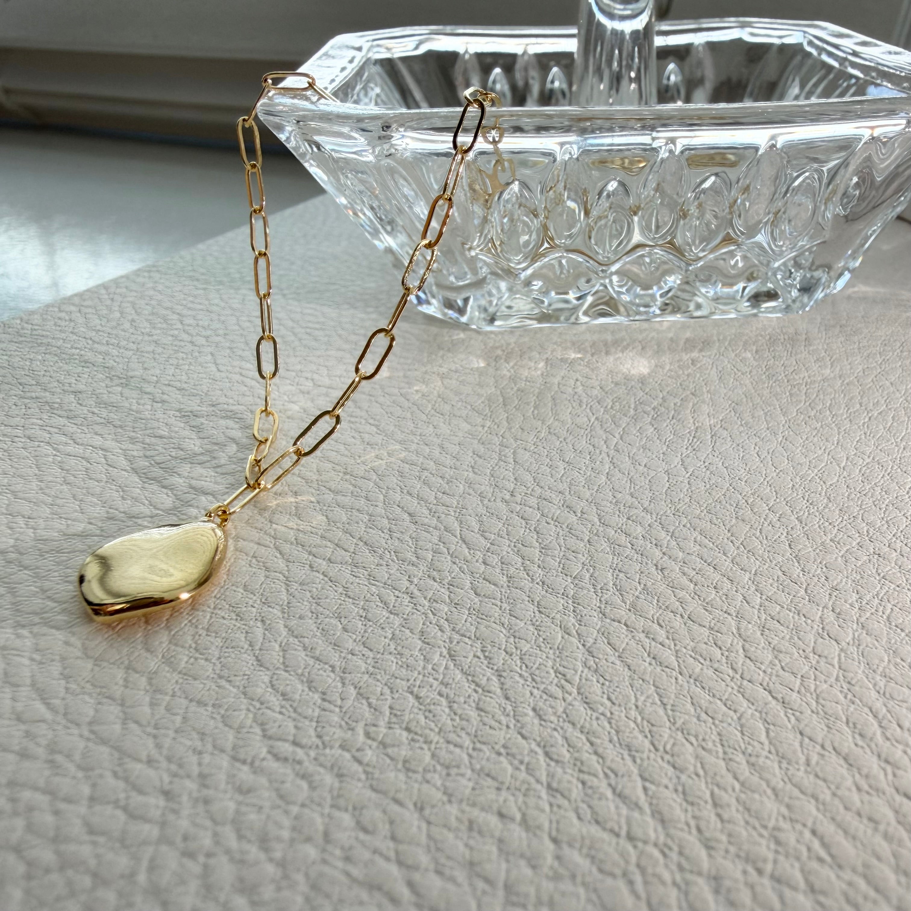 Medallion Paperclip Necklace