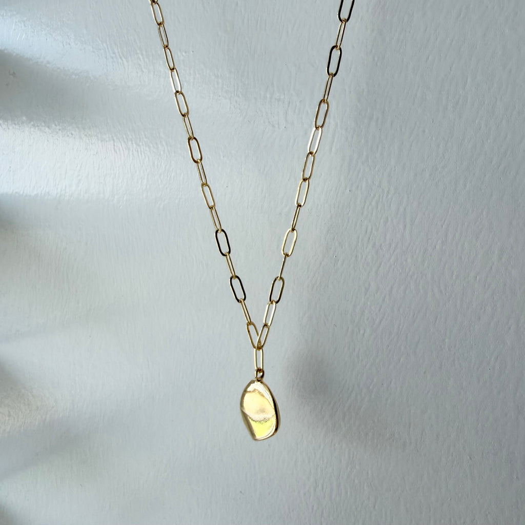 Medallion Paperclip Necklace