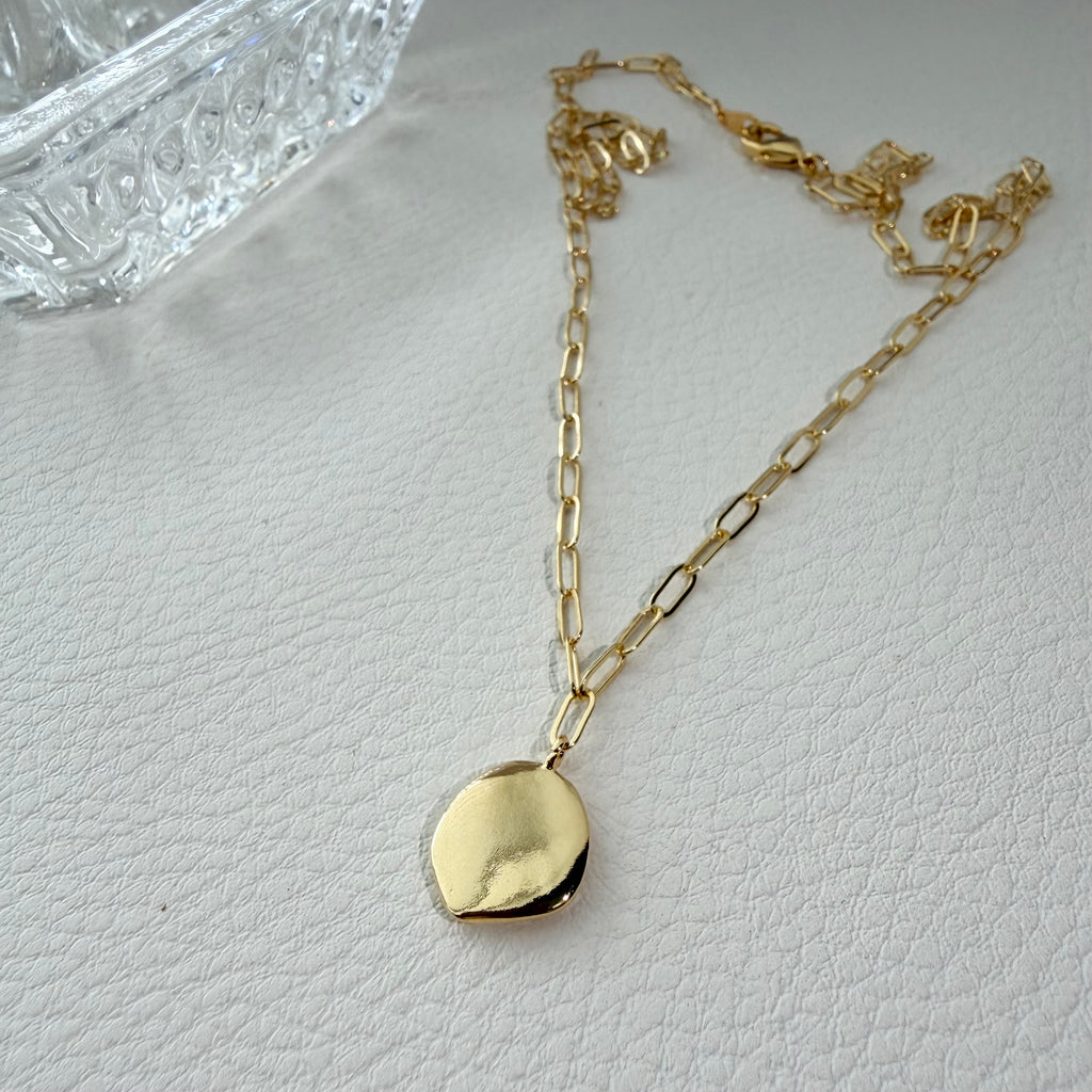 Medallion Paperclip Necklace