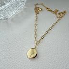 Medallion Paperclip Necklace