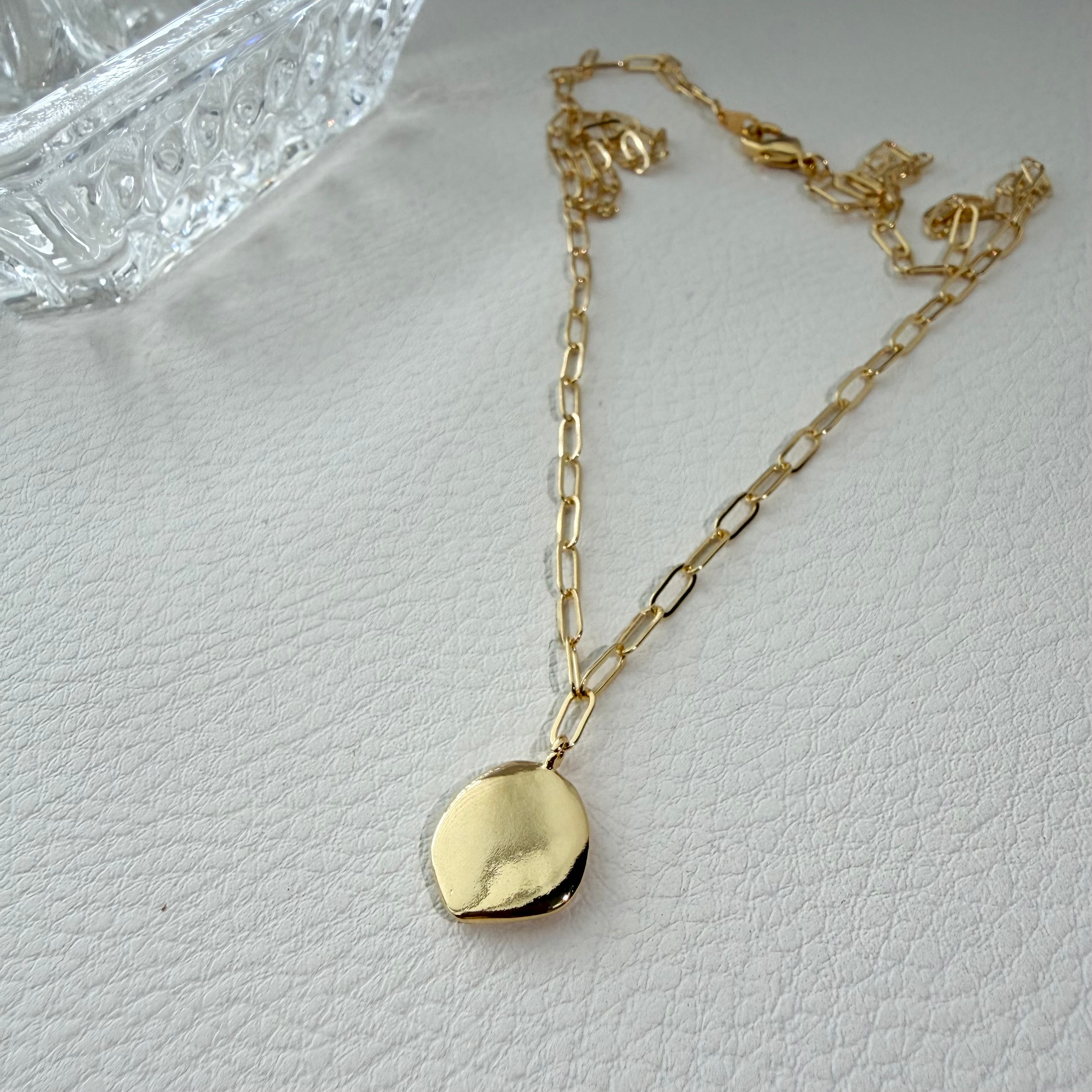 Medallion Paperclip Necklace