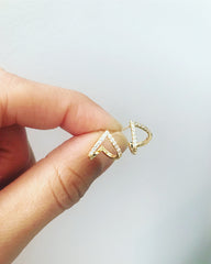 Cage Earrings
