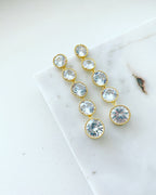 Diamond Duster Earrings