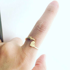 Michigan (State) Ring