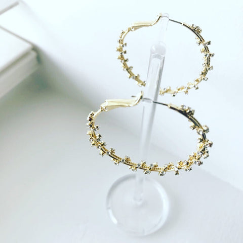 Bling Bling Hoop Earrings