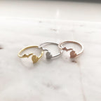 Michigan (State) Ring