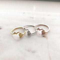 Michigan (State) Ring