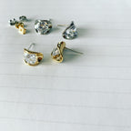 Cubic Encased Earrings