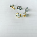 Cubic Encased Earrings